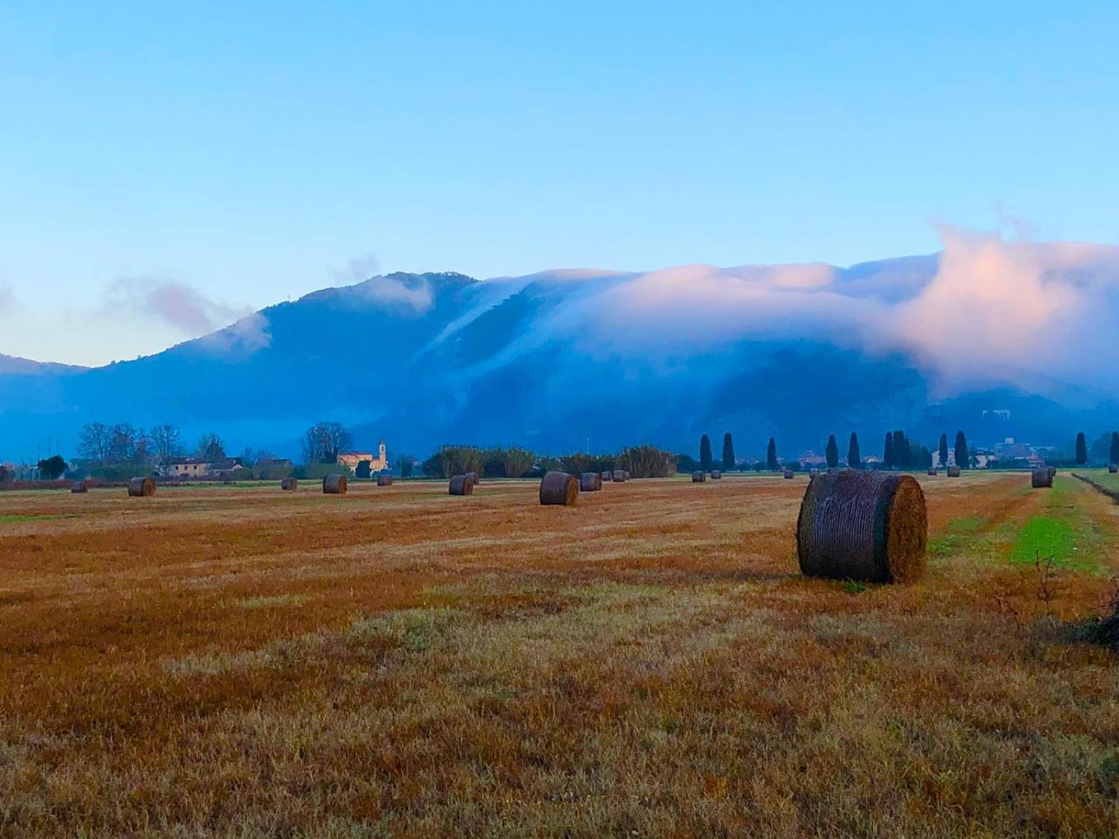 Intero Alloggio Campagna Lucca Capannori Esterno foto