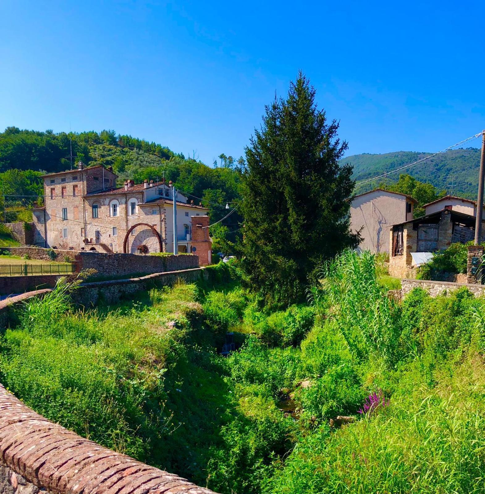 Intero Alloggio Campagna Lucca Capannori Esterno foto